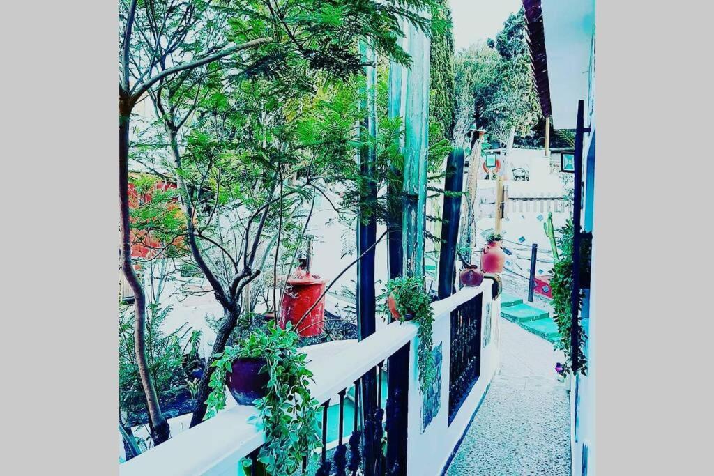 Gran Canaria La Finca De Carmelita Y Bartolito Las Palmas de Gran Canaria Bagian luar foto